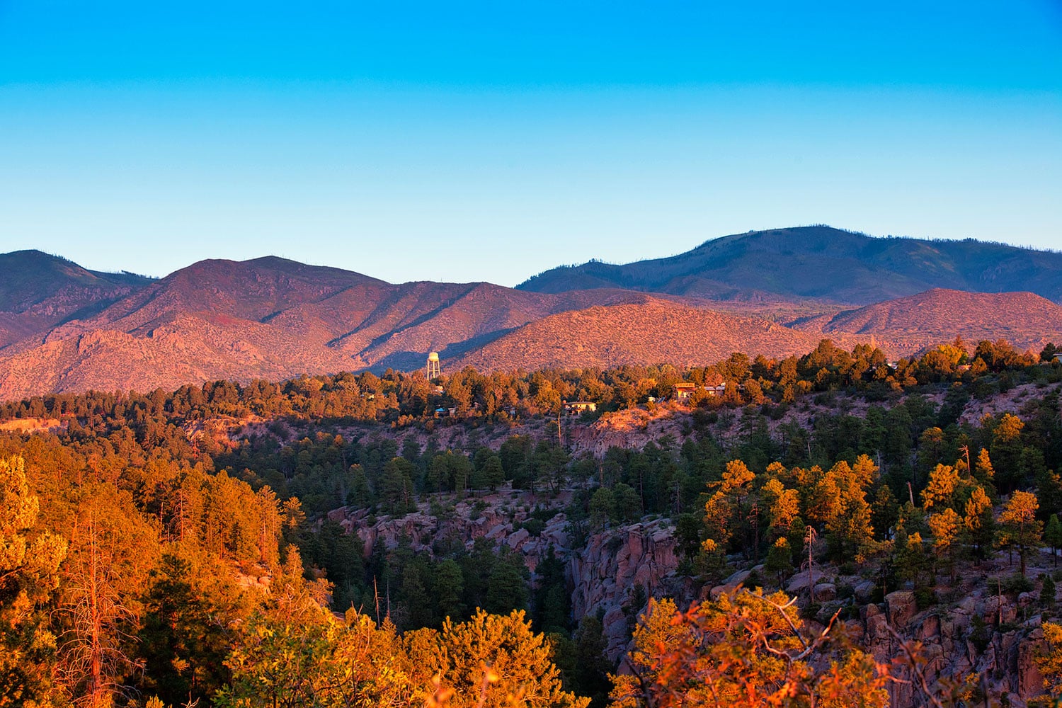 Search Land Listings
